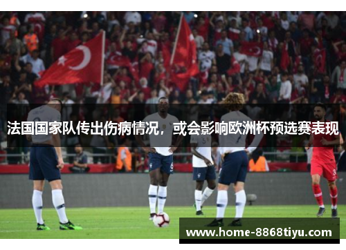 法国国家队传出伤病情况，或会影响欧洲杯预选赛表现